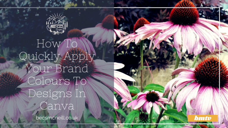 How To Quickly Apply Your Brand Colours To Designs In Canva