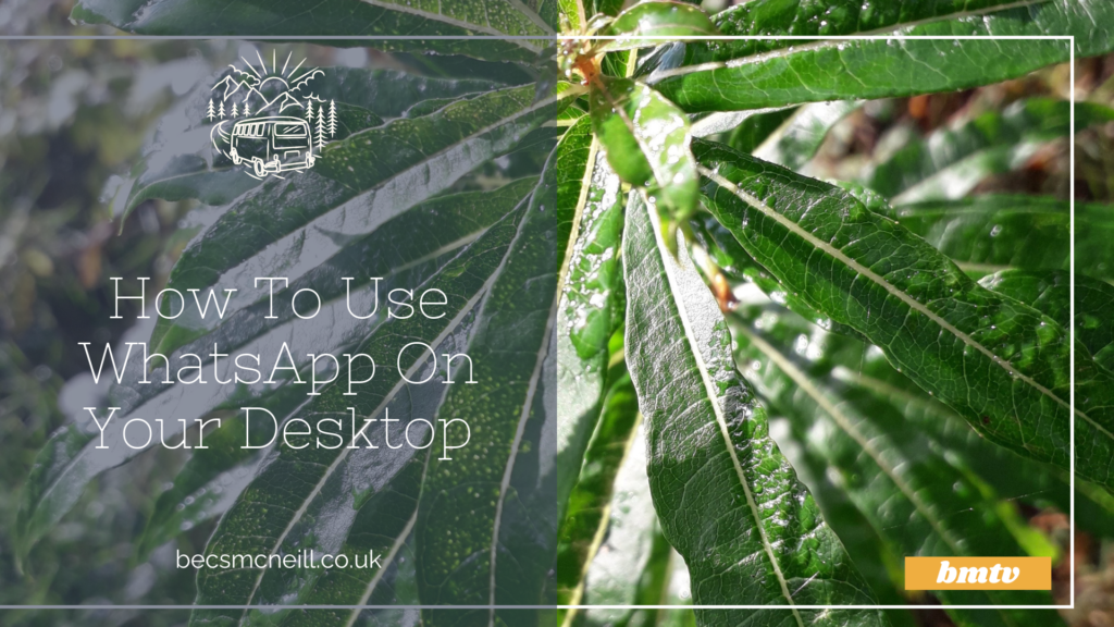 HOW TO USE WHATSAPP ON YOUR DESKTOP visual data 6