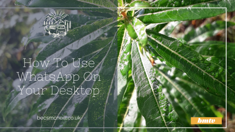 How To Use WhatsApp On Your Desktop